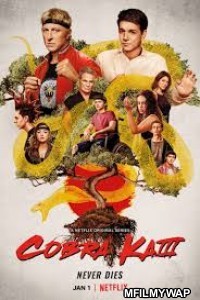 Cobra Kai (2021) Hindi Dubbed Season 3 Complete Show