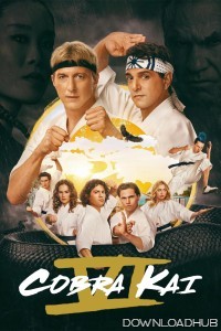 Cobra Kai (2025) Season 6 Part 3 Hindi Dubbed Series